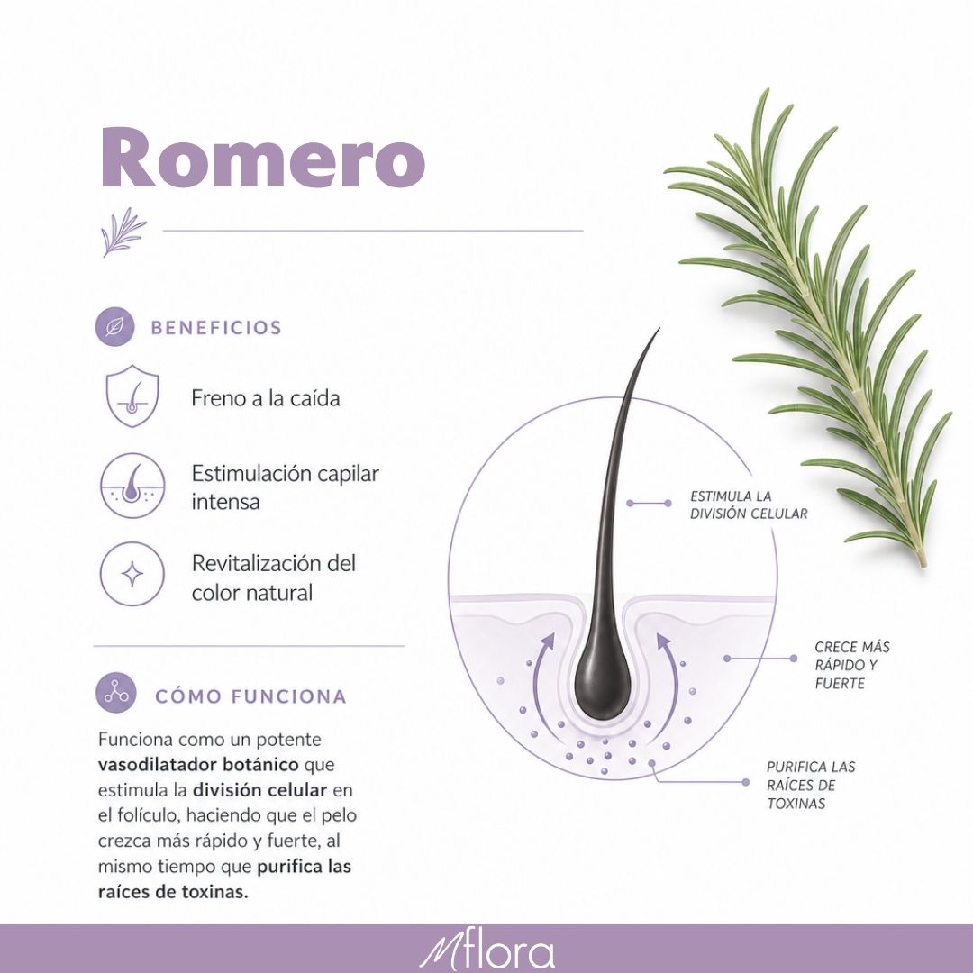 PACK CREMA + ACEITE CAPILAR ROMERO OLIVA