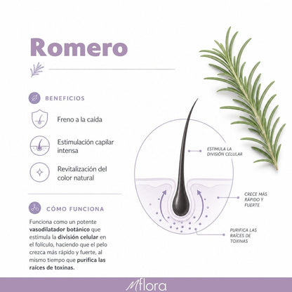 PACK CREMA + ACEITE CAPILAR ROMERO OLIVA