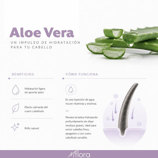 PACK CREMA + ACEITE CAPILAR ALOE VERA