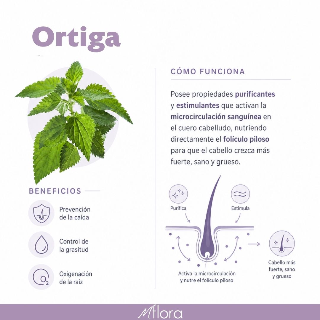 PACK CREMA + ACEITE CAPILAR DE ORTIGA