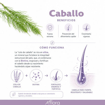PACK CREMA + ACEITE CAPILAR CABALLO